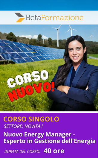 Corso singolo Nuovo Energy Manager - Esperto in Gestione dell'Energia