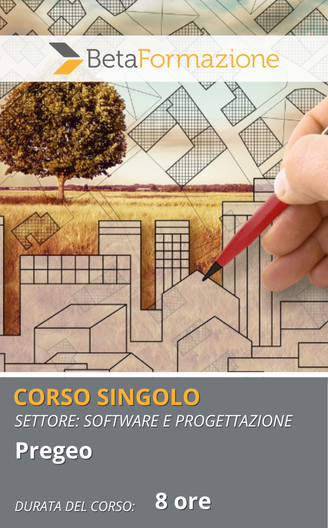 Corso singolo Pregeo - 8 ore